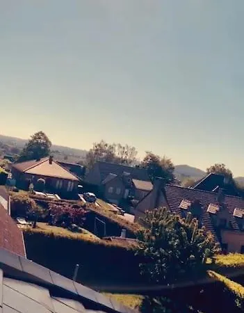 Magnifique De Luxe ! La Louvière