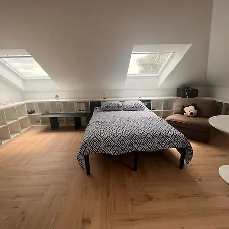 Magnifique De Luxe ! * La Louvière